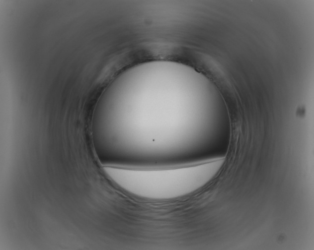 X0000093240221200709261537