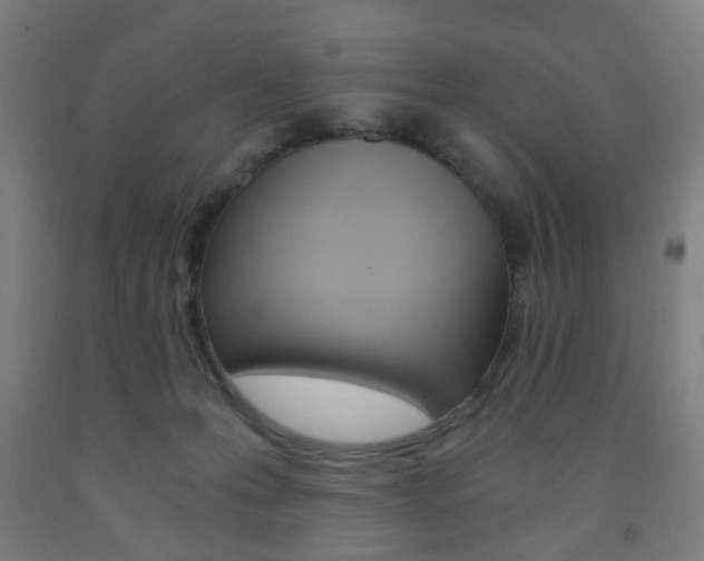 X0000093240223200709261537