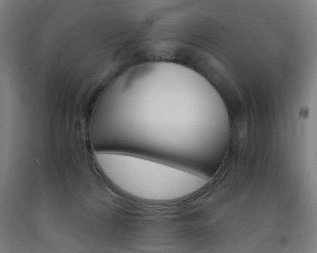 X0000093240224200709261537