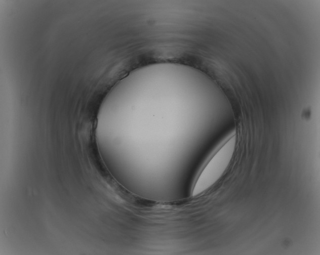 X0000093240227200709261537