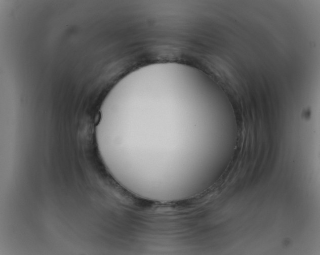 X0000093240228200709261537