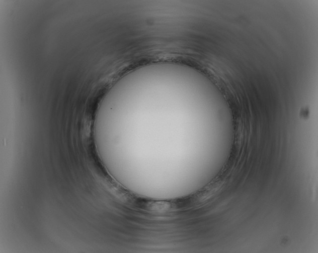 X0000093240230200709261537