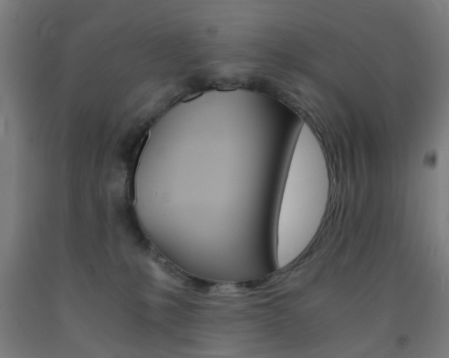 X0000093240231200709261536