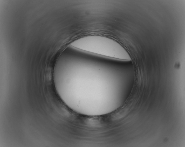 X0000093240232200709261536
