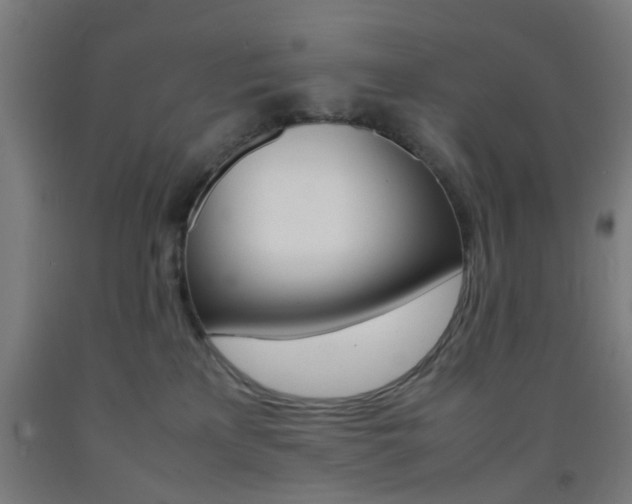 X0000093240233200709261536