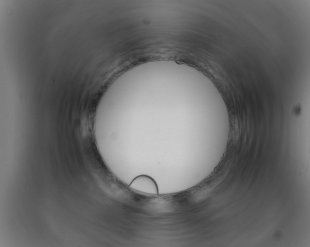 X0000093240236200709261536