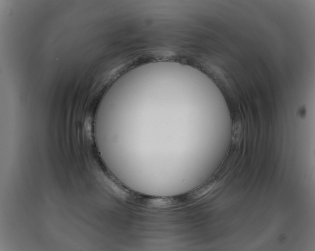 X0000093240238200709261536