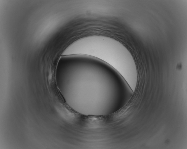 X0000093240239200709261536