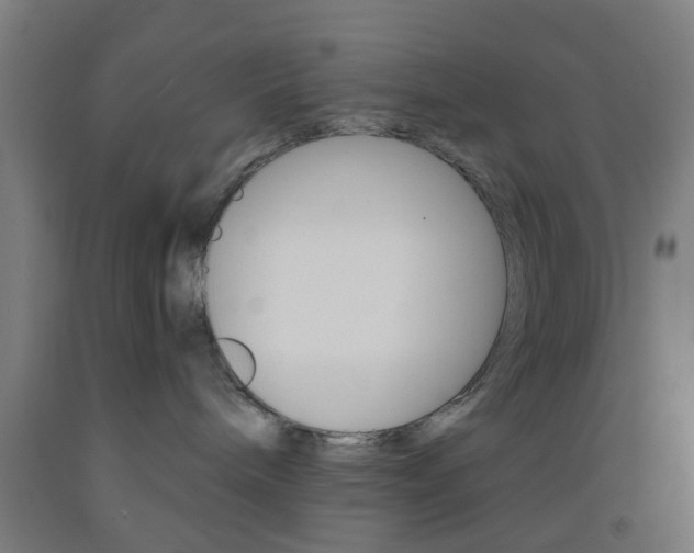 X0000093240240200709261536