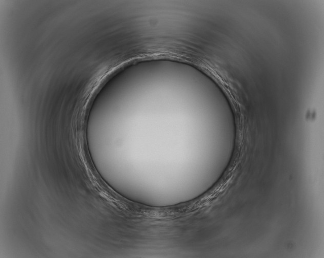 X0000093240241200709261536