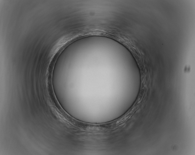 X0000093240242200709261536