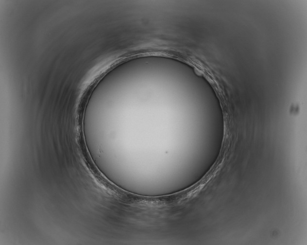 X0000093240245200709261536