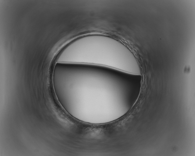 X0000093240247200709261536