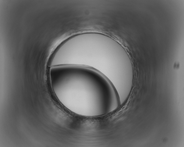 X0000093240248200709261536