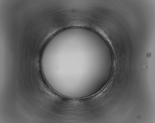 X0000093240249200709261536