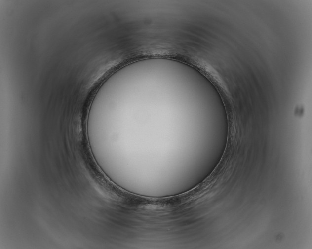 X0000093240251200709261536
