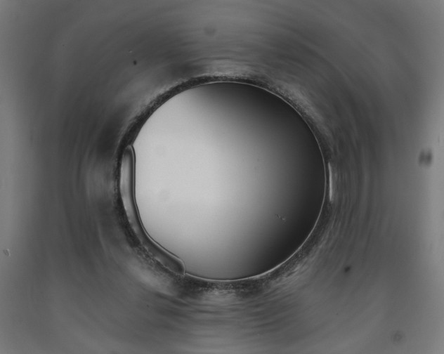 X0000093240252200709261536