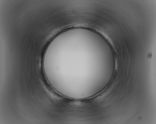 X0000093240253200709261536