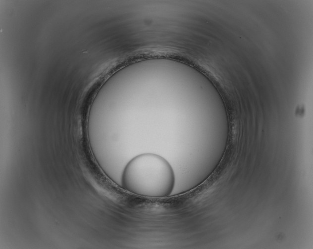 X0000093240254200709261536