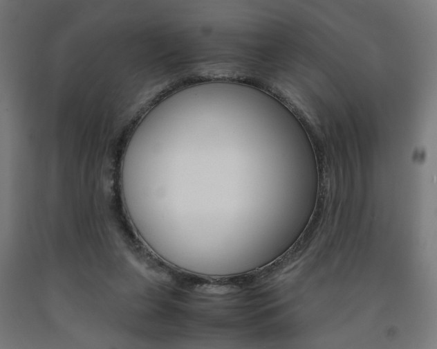 X0000093240255200709261536