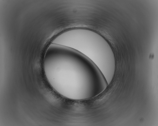 X0000093240256200709261536