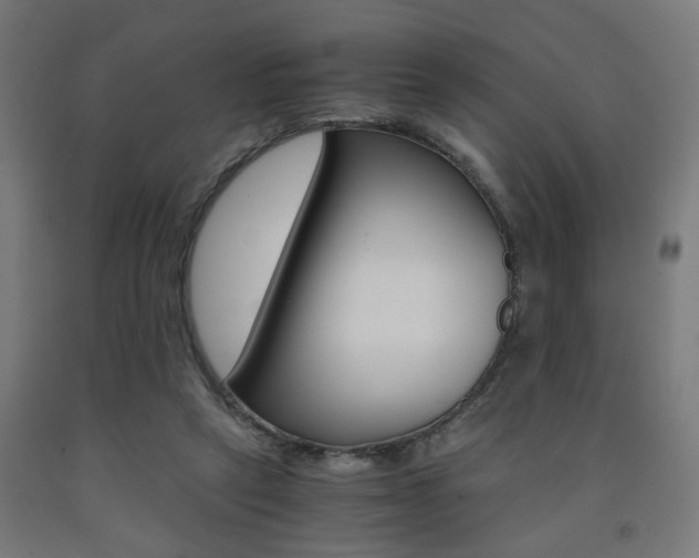 X0000093240257200709261536