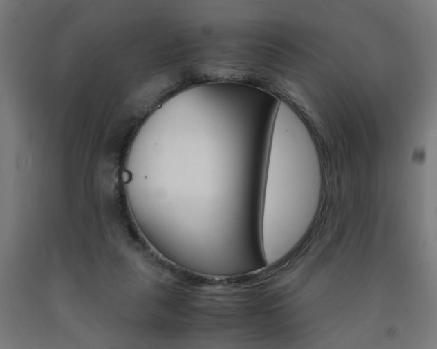 X0000093240259200709261536