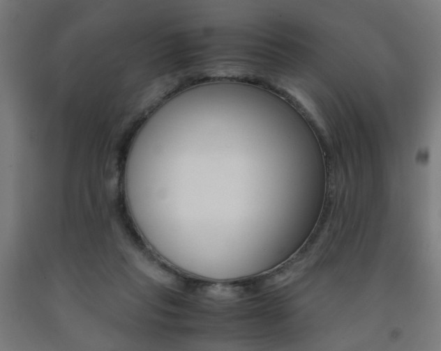 X0000093240261200709261536