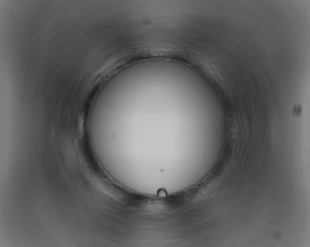 X0000093240262200709261536
