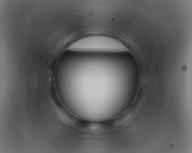 X0000093240264200709261536