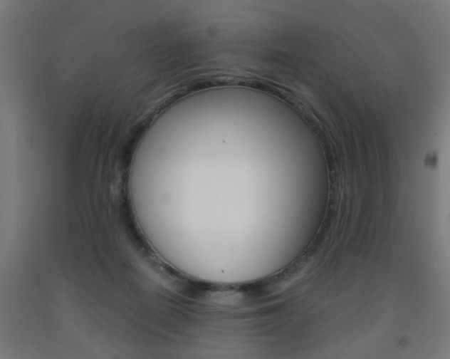 X0000093240266200709261536