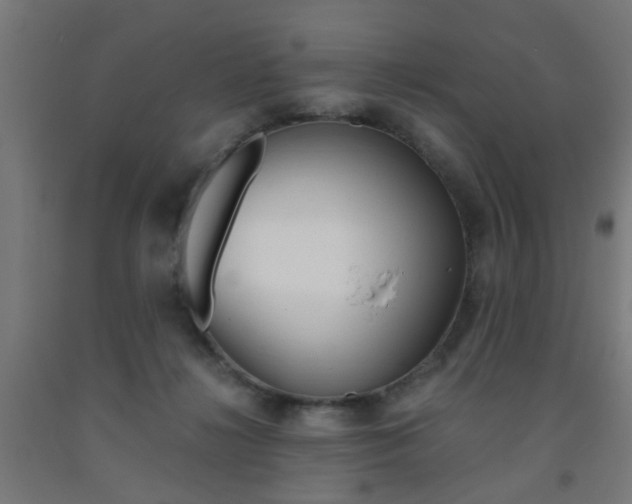 X0000093240268200709261536