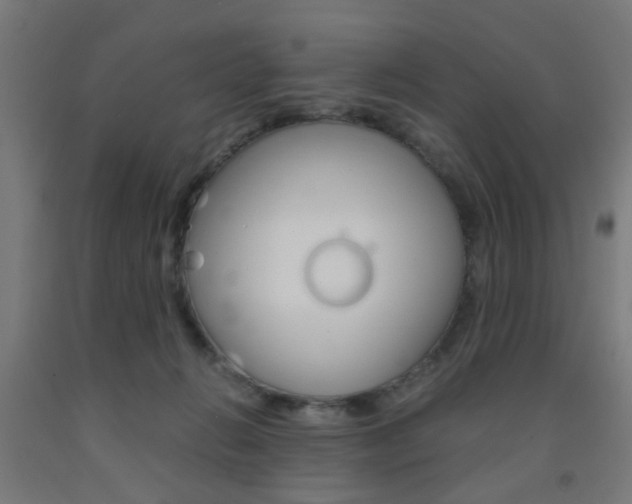 X0000093240270200709261536