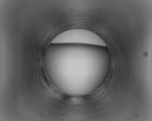 X0000093240272200709261536