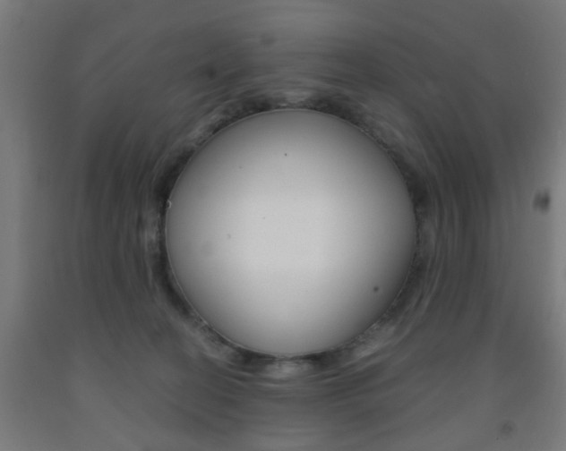 X0000093240274200709261536