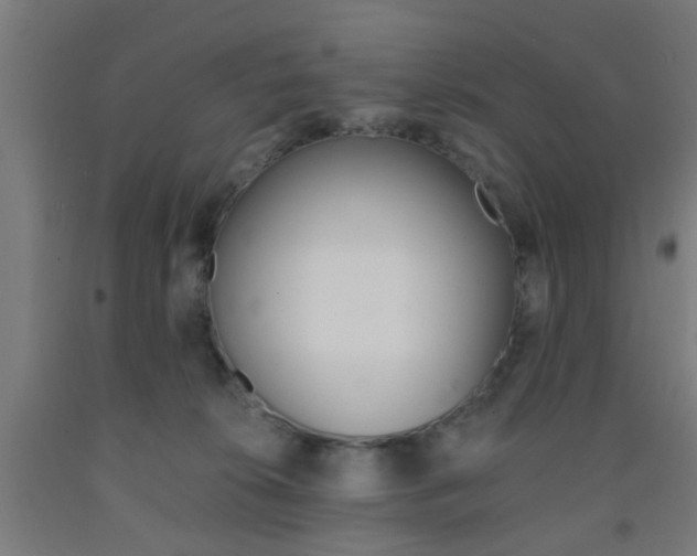 X0000093240276200709261536