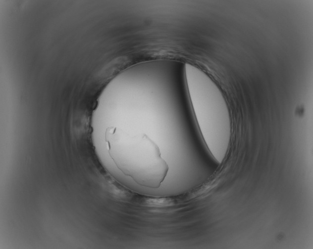 X0000093240281200709261536