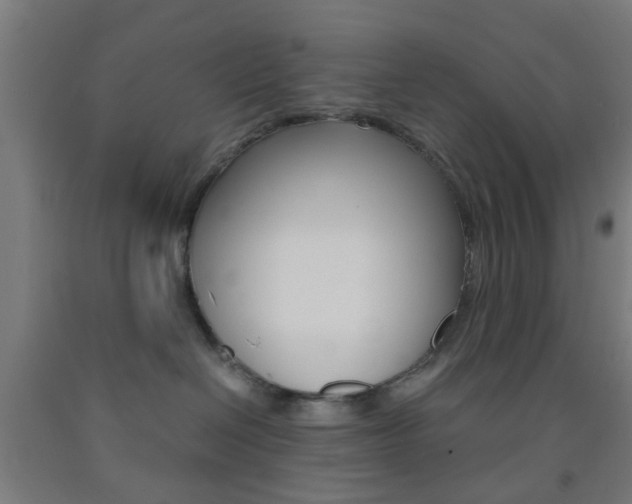 X0000093240286200709261536