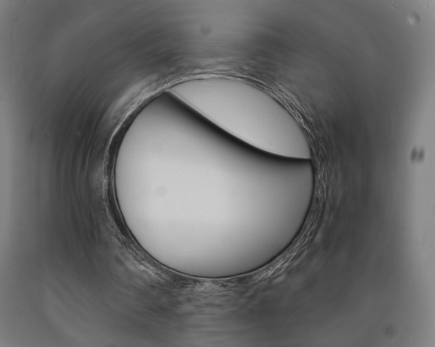 X0000093240290200709261536