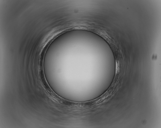 X0000093240291200709261536