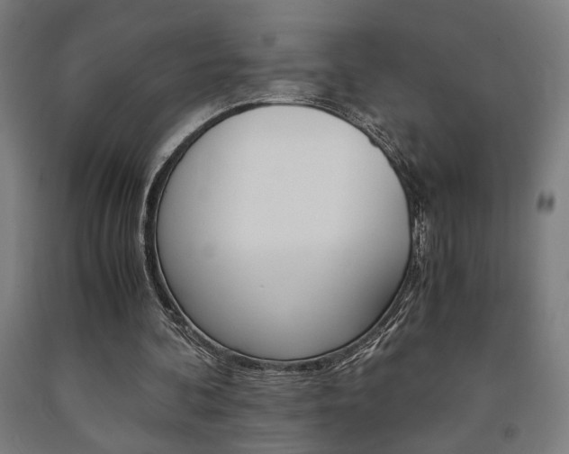 X0000093240292200709261536
