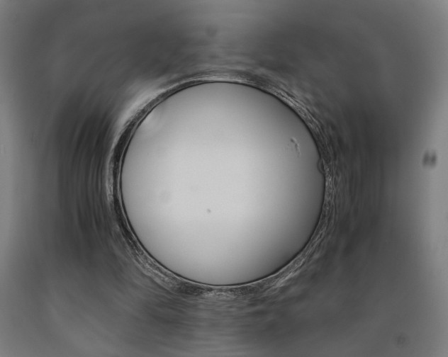 X0000093240294200709261536