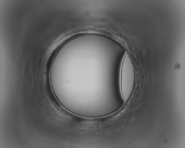 X0000093240295200709261536