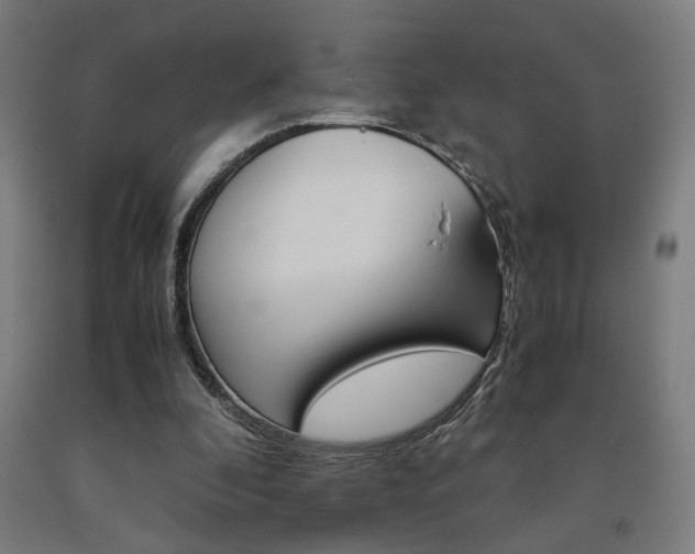X0000093240296200709261536