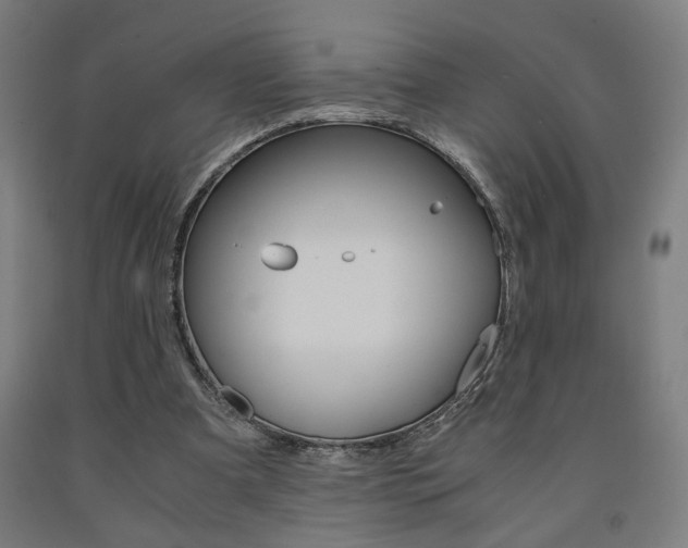 X0000093240297200709261536