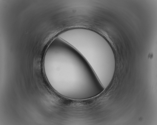 X0000093240299200709261535