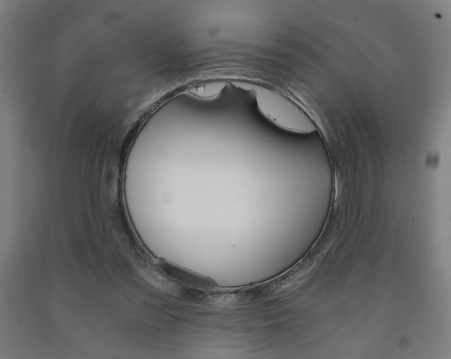 X0000093240301200709261535