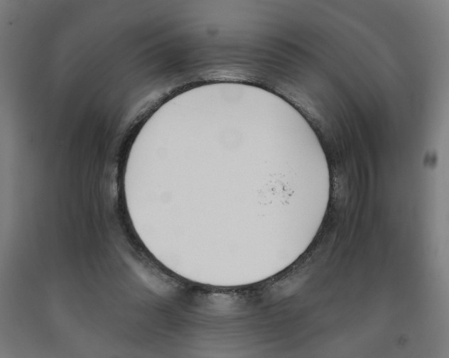X0000093240302200709261535