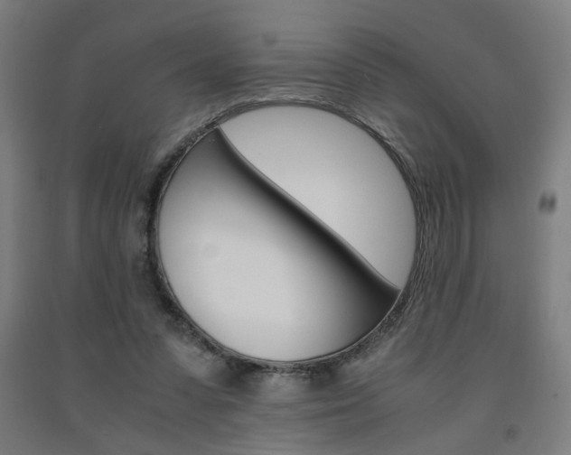 X0000093240303200709261535