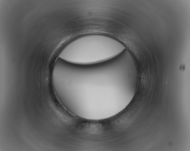 X0000093240304200709261535